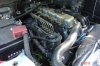 DSC06793.jpg