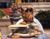 alf.jpg