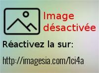 20170110-110031-1-_imagesia-com_1ci4a_large.jpg