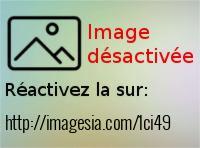 20170110-110101-1-_imagesia-com_1ci49_large.jpg