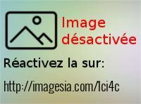 20170110-110112-1-_imagesia-com_1ci4c_large.jpg