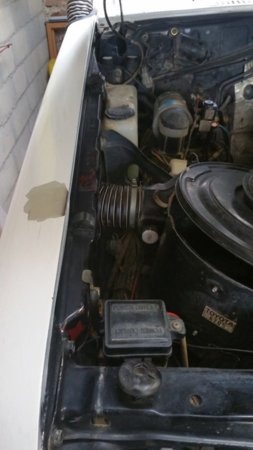 20170511_100301.jpg