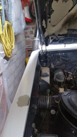 20170511_100303.jpg