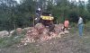 IMAG0584.jpg