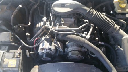 20170903_121143.jpg