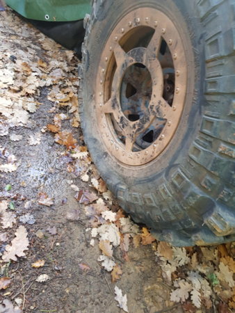 20180111_115653.jpg