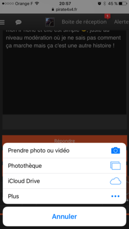 IMG_4201.PNG
