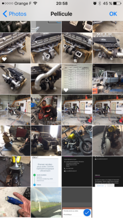 IMG_4202.PNG