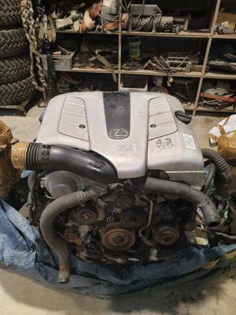 20190306_083413.jpg