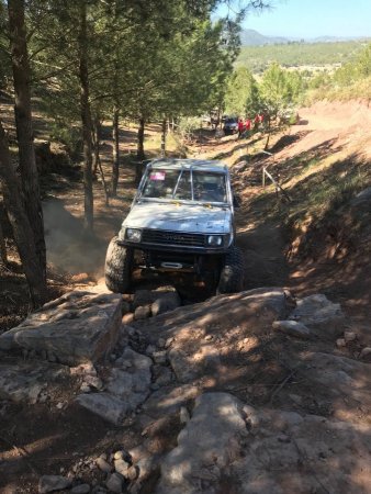 Image-17.jpg Image-17.jpg