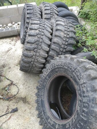 IMG_20200930_175654.jpg