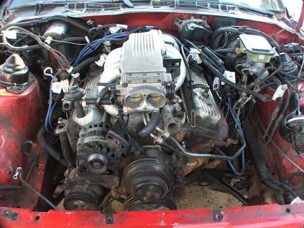 DSCF8001.JPG DSCF8001.JPG