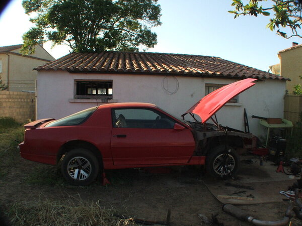 DSCF8004.JPG DSCF8004.JPG