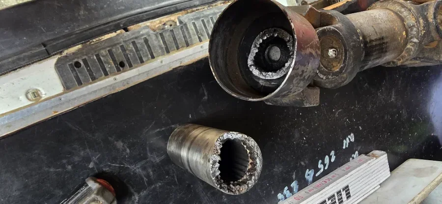 20251012_150330.webp 20251012_150330.webp