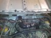 tn_TJSnorkel20121218_112624.jpg