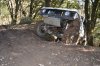 DSC_0917.JPG
