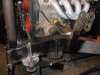 SDC11823.JPG