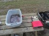 DSC01537.JPG