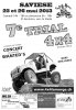 2013_Affiche.jpg