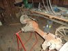 DSC00083.jpg