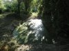 DSC00631.jpg