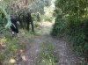 DSC00634.jpg