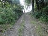 DSC00635.jpg
