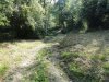 DSC00636.jpg