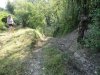 DSC00637.jpg