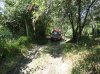 DSC00658.jpg