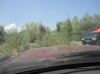 DSC00659.jpg