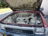DSC00666.jpg
