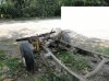 DSC00682.jpg