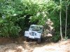 IMG_0586.jpg IMG_0586.jpg