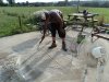 DSC01843.JPG