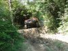 DSC03325.jpg