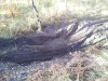 20131130_151136.jpg