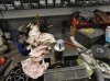 DSC01136.jpg