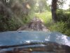 4x4 017.jpg