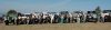 DSC_0079.jpg