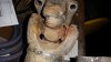 20141209_111444.jpg