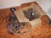 DSCN2071.jpg