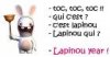 lapinou.jpg