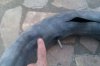 tn_09.03 - Staun inner tube blown up.jpg