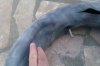 tn_09.04 - Staun inner tube blown up.jpg