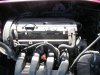 NT 1 031.jpg
