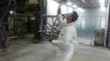 20160401_091554_resized.jpg