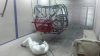 20160401_092545_resized.jpg