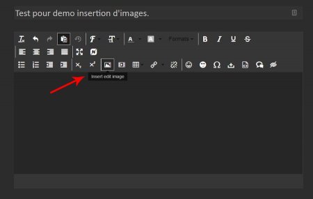 insertion_image_v3.jpg