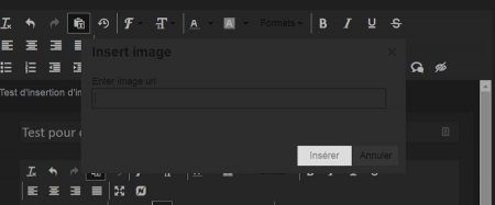 insertion_image_v3_lien.jpg